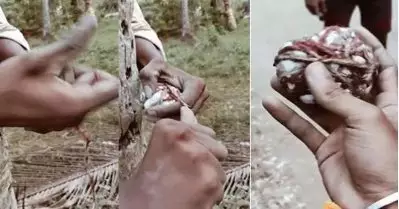 ബോംബ് നിര്‍മാണ ദൃശ്യം ചിത്രീകരിച്ച് വാട്‌സ്ആപ് സ്റ്റാറ്റസാക്കി; കണ്ണൂരില്‍ ആര്‍.എസ്.എസ് പ്രവര്‍ത്തകന്‍ അറസ്റ്റില്‍