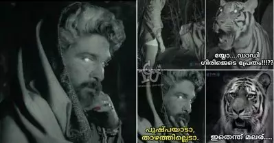 കാട്ടില്‍വെച്ച് പുഷ്പയെ കണ്ട പുലി: തലൈവരെ നീങ്കളാ; പുഷ്പയുടെ പ്രൊമോ വീഡിയോക്കെതിരെ ട്രോള്‍ മഴ