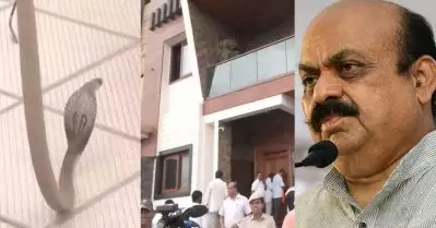 കര്‍ണാടക ബി.ജെ.പി ഓഫീസില്‍ നിന്ന് മൂര്‍ഖനെ പിടികൂടി; സംഭവം ബൊമ്മെ ഓഫീസ് പരിസരത്ത് എത്തിയപ്പോള്‍