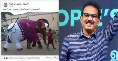 പാന്റും കുപ്പായവുമിട്ട അരികൊമ്പനുമായി കിഴക്കമ്പലത്തിലേക്ക്; സാബു ജേക്കബിനെ ട്രോളി പി.വി ശ്രീനിജിന്‍ എം.എല്‍.എ