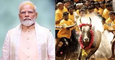 ‘ചെങ്കോലിന് പിന്നാലെ ജെല്ലിക്കെട്ടിനിറങ്ങി മോദി’; അഞ്ച് മാറി 25 വരും; തമിഴ്‌നാട്ടില്‍ പുതിയ നീക്കവുമായി ബി.ജെ.പി