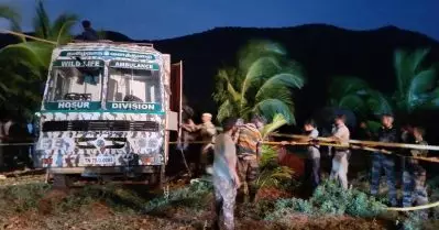 അരിക്കൊമ്പന്‍ മിഷന്‍ വേഗത്തില്‍ പൂര്‍ത്തിയാക്കി തമിഴ്‌നാട് വനം വകുപ്പ്; മയക്കുവെടിവെച്ച് പിടികൂടി