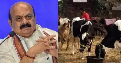 ‘ഇന്ത്യക്കാര്‍ക്ക് പശുക്കളുമായി വൈകാരിക ബന്ധം’; ബി.ജെ.പിയുടെ കാലത്തുള്ള കശാപ്പ് നിയമം ഇപ്പോഴും കര്‍ണാടകയിലുണ്ട്: ബൊമ്മൈ