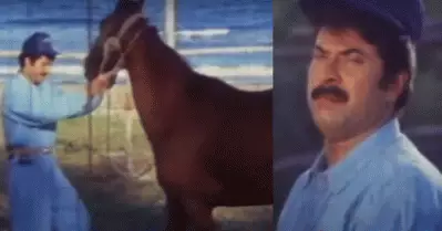 അത് പന്തയക്കുതിരയായിരുന്നു, അപകടമുള്ള പണിയാണ് മമ്മൂക്ക ഏറ്റെടുത്തത്; ജാക്ക്‌പോട്ട് ഷൂട്ട് ചെയ്ത കഥ