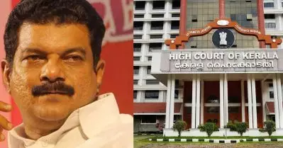 പി.വി അന്‍വറിന്റെ അനധികൃത ഭൂമി ഉടന്‍ തിരിച്ചുപിടിക്കണം: ഹൈക്കോടതി