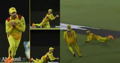 പരുന്തിനെക്കൊണ്ട് പറ്റുമോ ഇങ്ങനെ റാഞ്ചിയെടുക്കാന്‍; ക്യാച്ച് എന്നൊക്കെ പറഞ്ഞാല്‍ ദേ ഇദാണ്; വീഡിയോ