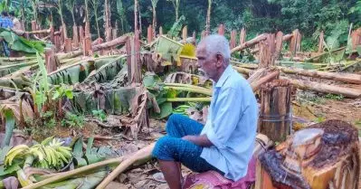‘നഷ്ടപരിഹാരം നികുതിപ്പണം കൊണ്ടല്ല, ഉദ്യോഗസ്ഥരില്‍ നിന്ന് ഈടാക്കണം’; കെ.എസ്.ഇ.ബി- വാഴ വിവാദം നിയമസഭയില്‍