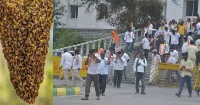 ബി.ജെ.പി സമരത്തിനിടക്ക് തേനീച്ച ആക്രമണം; ചിതറിയോടി പ്രവർത്തകർ