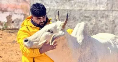 നൂഹ് കലാപം; ബജ്റങ്ദള്‍ പ്രവര്‍ത്തകന്‍ മോനു മനേസര്‍ അറസ്റ്റില്‍