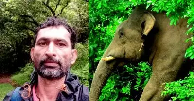 വയനാട്ടിലും വനം വാച്ചറെ ആന ചവിട്ടിക്കൊന്നു, ഒരാഴ്ചക്കിടെ കൊല്ലപ്പെട്ടത് രണ്ട് താത്കാലിക ജീവനക്കാര്‍