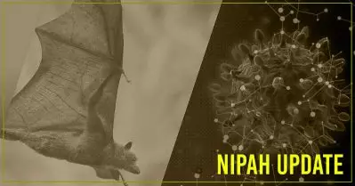 ഒരാള്‍ക്ക് കൂടി നിപ സ്ഥിരീകരിച്ചു, ആക്ടീവ് കേസുകള്‍ നാല്; അതീവ ജാഗ്രത തുടരുന്നു