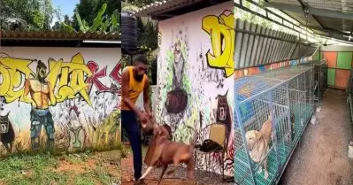 കാക്കി കണ്ടാല്‍ കടിക്കണം, പൊലീസിനെ ഉപദ്രവിക്കാന്‍ നായകള്‍ക്ക് ട്രെയിനിങ്; ഡോഗ്‌സ് ഹോസ്റ്റലിന്റെ മറവില്‍ കഞ്ചാവ് കച്ചവടം