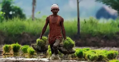 കാര്‍ഷിക മേഖല കോര്‍പ്പറേറ്റുകള്‍ക്ക് തീറെഴുതുന്നു: ഇന്ത്യന്‍ കൗണ്‍സില്‍ ഓഫ് അഗ്രിക്കള്‍ച്ചര്‍ റിസര്‍ച്ച് – ബയേര്‍ ധാരണപത്രം