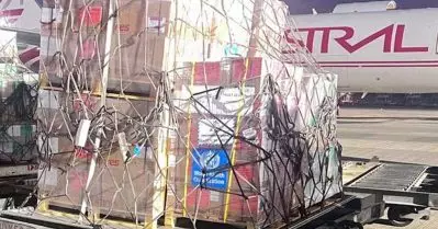 ലോകാരോഗ്യ സംഘടനയുടെ മരുന്ന് 20 കി.മി. അകലെ ഈജിപ്തിൽ; ഗസയിലെത്താൻ വൈകുന്ന ഓരോ മണിക്കൂറും നിർണായകം