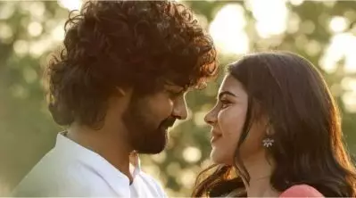 എന്നേയും പ്രണവിനേയും കുറിച്ച് കേട്ട ആ ഗോസിപ്പായിരുന്നു ഏറെ ചിരിപ്പിച്ചത്: കല്യാണി