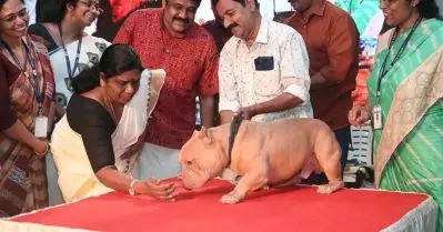 സംസ്ഥാനത്ത് ആദ്യമായി വളർത്തു മൃഗങ്ങൾക്ക് ഫുഡ് ഫെസ്റ്റിവൽ; കേരളീയത്തിന്റെ ഭാഗമായി ഒമ്പത് കൊമേഴ്ഷ്യൽ സ്റ്റാളുകൾ