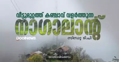 വീട്ടുമുറ്റത്ത് കഞ്ചാവ് വളര്‍ത്തുന്ന നാഗാലാന്റ്
