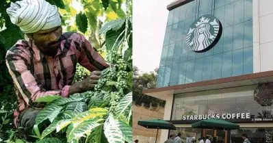 സ്റ്റാർബക്സ് ലാഭം മൂന്നിരട്ടിയാക്കിയിട്ടും കർഷകർക്ക് മെച്ചമില്ല; ഭാരത് ബന്ദിൽ പങ്കെടുക്കാൻ കാപ്പി കർഷകരും