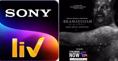 വാങ്ങുന്ന കാശിന് നല്ല ഓഡിയോ തന്നൂടെ; ഭ്രമയുഗം ഒ.ടി.ടി. റിലീസിന് പിന്നാലെ സോണി ലിവിനെതിരെ പരാതിയുമായി പ്രേക്ഷകര്‍