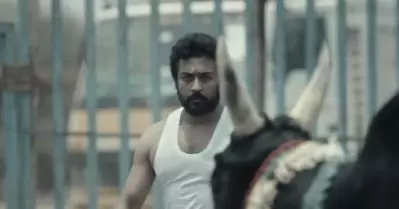 വാടിവാസല്‍ ഡ്രോപ്പ് ആയിട്ടില്ല; സൂര്യയും അമീറും രണ്ട് കാളകളെ വാങ്ങിയിട്ടുണ്ട്, എത്ര കുത്ത് കിട്ടുമെന്ന് യാതൊരു പിടിയുമില്ല: വെട്രിമാരന്‍