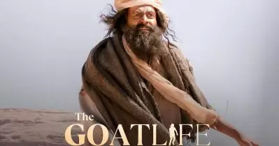 ആടുജീവിതത്തിലെ ആ സീനുകളെല്ലാം മാജിക്കലായി കിട്ടിയതാണ്; മനഃപൂർവം എടുത്തതല്ല: സുനിൽ കെ.എസ്