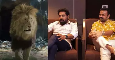 ഞങ്ങളെക്കാളും സീനിയോരിറ്റിയും പോപ്പുലാരിറ്റിയുമുള്ള ആര്‍ട്ടിസ്റ്റാണ് ഈ പടത്തിലെ സിംഹം, അതിന്റെ എല്ലാ ബഹുമാനവും പുള്ളിക്ക് കൊടുത്തിട്ടുണ്ട്: കുഞ്ചാക്കോ ബോബന്‍