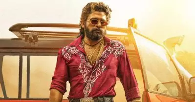 പുഷ്പ 2 ഈ വര്‍ഷം ഉണ്ടാകില്ല? ആരാധകര്‍ നിരാശയില്‍