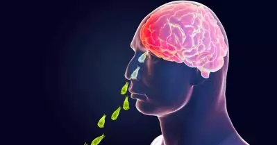 അമീബിക്ക് മസ്തിഷ്‌ക ജ്വരം; ഇന്ത്യയില്‍ ആദ്യമായി പ്രത്യേക മാര്‍ഗരേഖ പുറത്തിറക്കി കേരളം