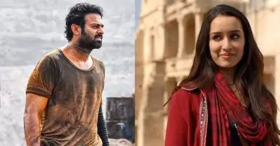 ബോളിവുഡ് ബോക്‌സ് ഓഫീസില്‍ പ്രഭാസിനെയും വീഴ്ത്തി ചന്ദേരിയിലെ യക്ഷി