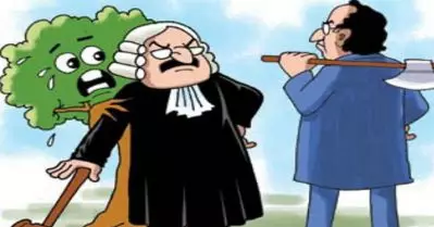 പൊതു പദ്ധതികൾക്കായി മരങ്ങൾ മുറിക്കുന്നത് പരമാവധി കുറക്കണം: സുപ്രീം കോടതി