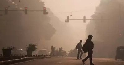 നിരോധനം നിലനിൽക്കെ ദൽഹിയിൽ പിടികൂടിയത് 19,005 കിലോ പടക്കങ്ങൾ; 79 കേസുകളും