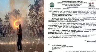 അന്തരീക്ഷ മലിനീകരണം; പടക്കങ്ങൾ നിരോധിച്ച് ദൽഹി സർക്കാർ