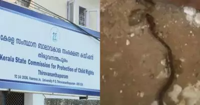 വിദ്യാര്‍ത്ഥിക്ക് പാമ്പ് കടിയേറ്റ സംഭവം; കേസെടുത്ത് ബാലാവകാശ കമ്മീഷന്‍