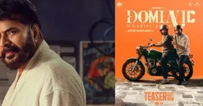 ‘കണ്ണീന്ന് പൊന്നീച്ച പറക്കും’ മമ്മൂട്ടിയുടെ ഡൊമിനിക് ആന്‍ഡ് ദ ലേഡീസ് പേഴ്‌സ് ടീസര്‍ പുറത്ത്