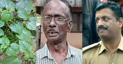 ‘സിനിമയല്ല സാറേ’; ചൊറിയണം തേച്ച് മര്‍ദിച്ച ഡി.വൈ.എസ്.പിക്കും മുന്‍ എ.എസ്.ഐക്കും തടവും പിഴയും