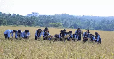 15 ക്വിന്റല്‍ നെല്ല് വിളയിച്ച് ജെ.സി.ഇ.ടിയിലെ അഗ്രിക്കള്‍ച്ചര്‍ എന്‍ജിനീയറിങ് വിദ്യാര്‍ത്ഥികള്‍