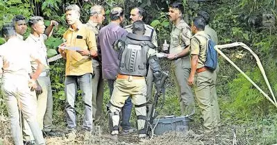 പഞ്ചാരക്കൊല്ലിയില്‍ വീണ്ടും കടുവയാക്രമണം; ആര്‍.ആര്‍.ടി അംഗത്തിന് പരിക്ക്