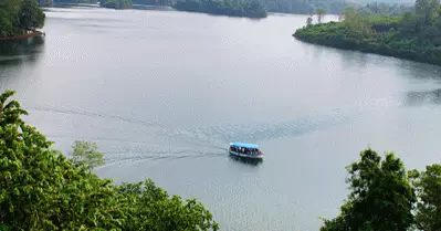 തൃശൂര്‍ പീച്ചി ഡാം റിസര്‍വോയറില്‍ നാല് പെണ്‍കുട്ടികള്‍ വീണു; മൂന്ന് പേരുടെ നില ഗുരുതരം