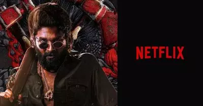 തിയേറ്ററില്‍ കണ്ടതല്ല കഥ, നെറ്റ്ഫ്‌ളിക്‌സില്‍ റീലോഡഡ് വേര്‍ഷനുമായി പുഷ്പ 2
