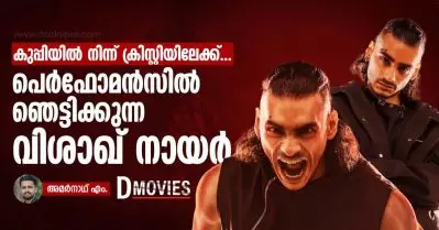 കുപ്പിയില്‍ നിന്ന് ക്രിസ്റ്റിയിലേക്ക്, പെര്‍ഫോമന്‍സില്‍ ഞെട്ടിക്കുന്ന വിശാഖ് നായര്‍