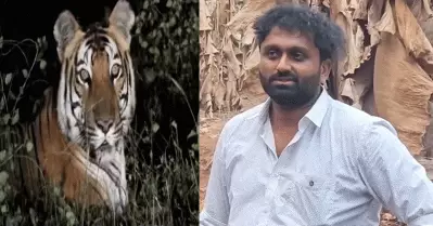 കരുവാരക്കുണ്ടിലെന്ന പേരില്‍ കടുവയുടെ വ്യാജദൃശ്യം പ്രചരിപ്പിച്ച കേസ്; യുവാവ് അറസ്റ്റില്‍