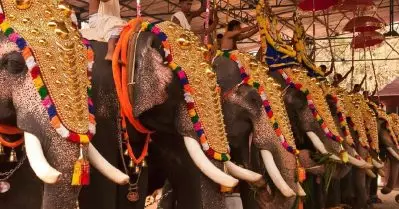 ഉത്സവത്തിന് ആനയില്ല; ആ തുക നിര്‍ധനര്‍ക്ക് വീടുവെച്ച് നല്‍കും; കൈയടി നേടി ശ്രീകുമാരമംഗലം ക്ഷേത്രകമ്മിറ്റി