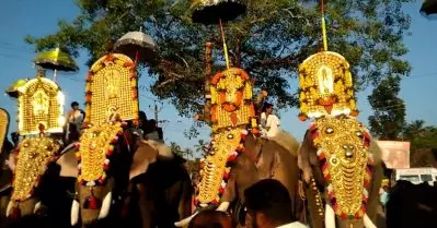 പൂരത്തിന് ആനയെ ഒഴിവാക്കി; ആ തുക നിര്‍ധന കുടുംബത്തിന് നല്‍കി മാതൃകയായി ആലിക്കര നവയുഗ പൂരാഘോഷ കമ്മിറ്റി