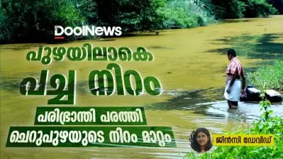 പുഴയിലാകെ പച്ച നിറം; പരിഭ്രാന്തി പരത്തി ചെറുപുഴയുടെ നിറം മാറ്റം