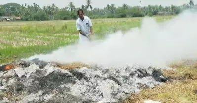 കൊയ്തെടുത്ത നെല്ല് മെതിച്ചെടുക്കാൻ കഴിയാതായതോടെ നിവർത്തികെട്ട് നെൽകറ്റ കത്തിച്ച് കളഞ്ഞ് കർഷകൻ