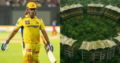 4,410 മരം ധോണിപ്പട വക; ചെന്നൈ വൈകാതെ കാടാകുമെന്ന് ആരാധകര്‍; കണക്കുകളിങ്ങനെ