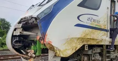 പശുവിനെ ഇടിച്ചാൽ പോലും അപകടത്തിൽപ്പെടാൻ സാധ്യത; വന്ദേഭാരതിന് സുരക്ഷാവീഴ്ചയെന്ന് റെയിൽവേ സേഫ്റ്റി കമീഷണർ