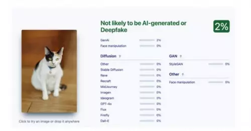 Deepfake AI discrete software output