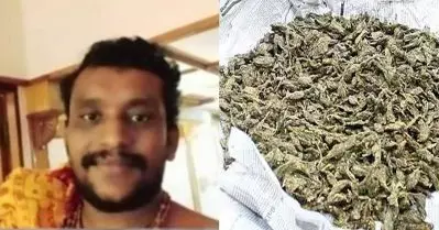 ബി.ജെ.പി നേതാവിന്റെ പൂജാ മുറിയില്‍ നിന്ന് 1.2 കിലോ ഗ്രാം കഞ്ചാവും അഞ്ച് ഗ്രാം എം.ഡി.എം.എയും പിടിച്ചെടുത്ത് പൊലീസ്