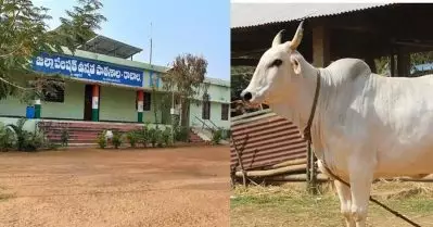 തെലങ്കാനയിൽ സയൻസ് ക്ലാസിൽ പശുവിന്റെ തലച്ചോറ് കൊണ്ടുവന്നെന്ന് ആരോപണം; അധ്യാപകനെ സസ്‌പെൻഡ് ചെയ്തു